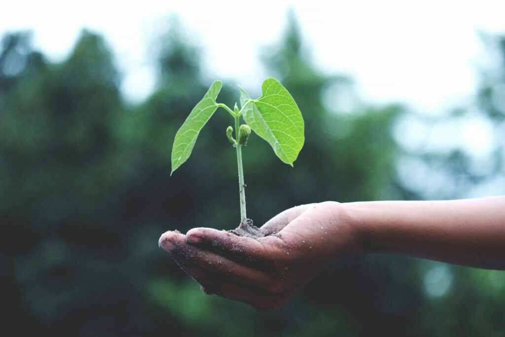Unlocking Personal Growth with the Miracle Morning Routine: A Flexible Approach for Today’s Busy World - Shantala Rao
