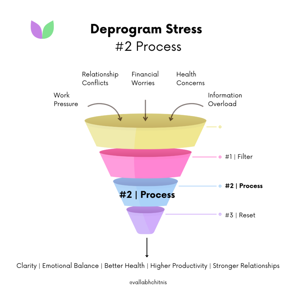 Vallabh Chitnis - IntuiWell - Deprogram Stress - Process