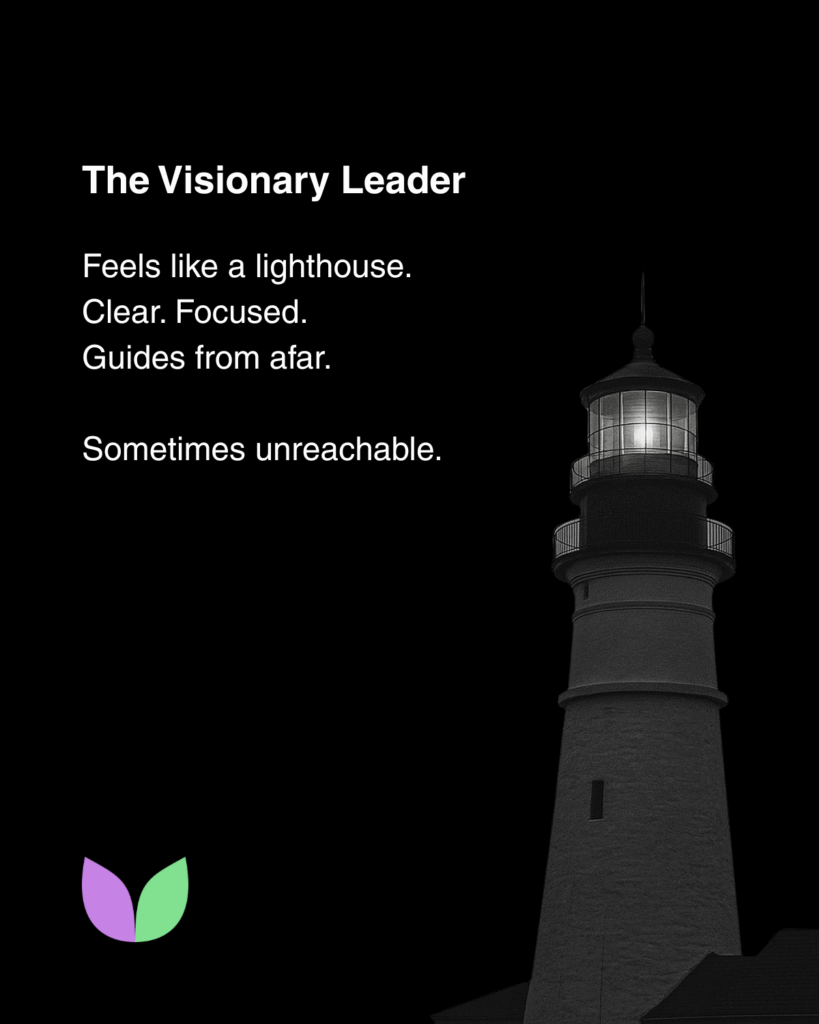 Vallabh Chitnis - IntuiWell - The Visionary Leader