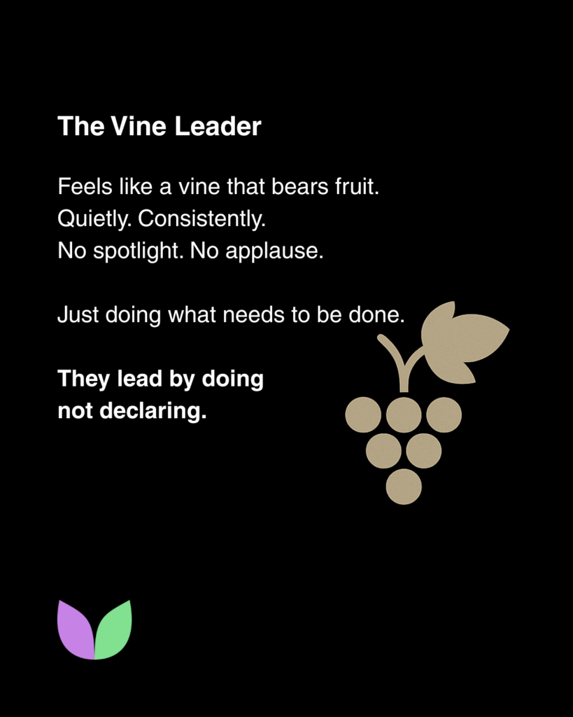 Vallabh Chitnis - IntuiWell - The Vine Leader - Best Leadership Style