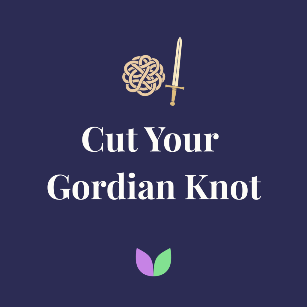 Vallabh Chitnis - IntuiWell - Cut Your Gordian Knot