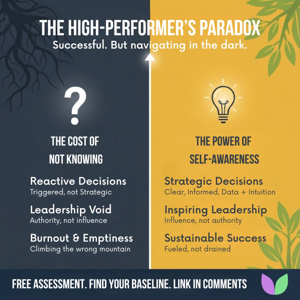 Vallabh Chitnis - IntuiWell - The High-Performer's Paradox